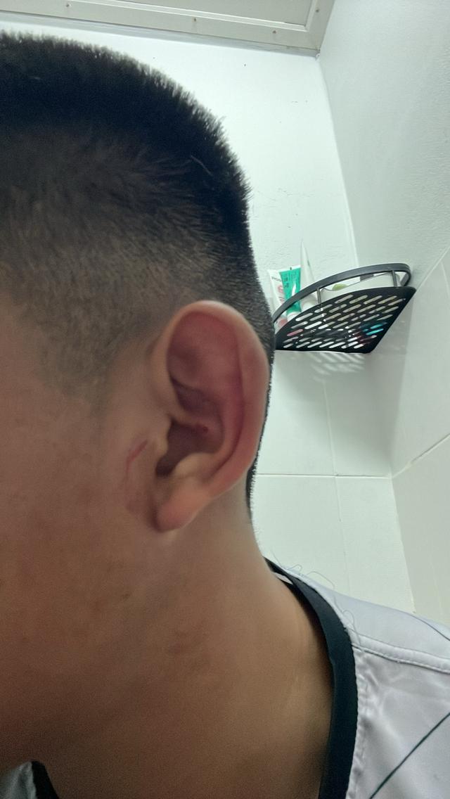 สุนัข ดัชชุน 6
