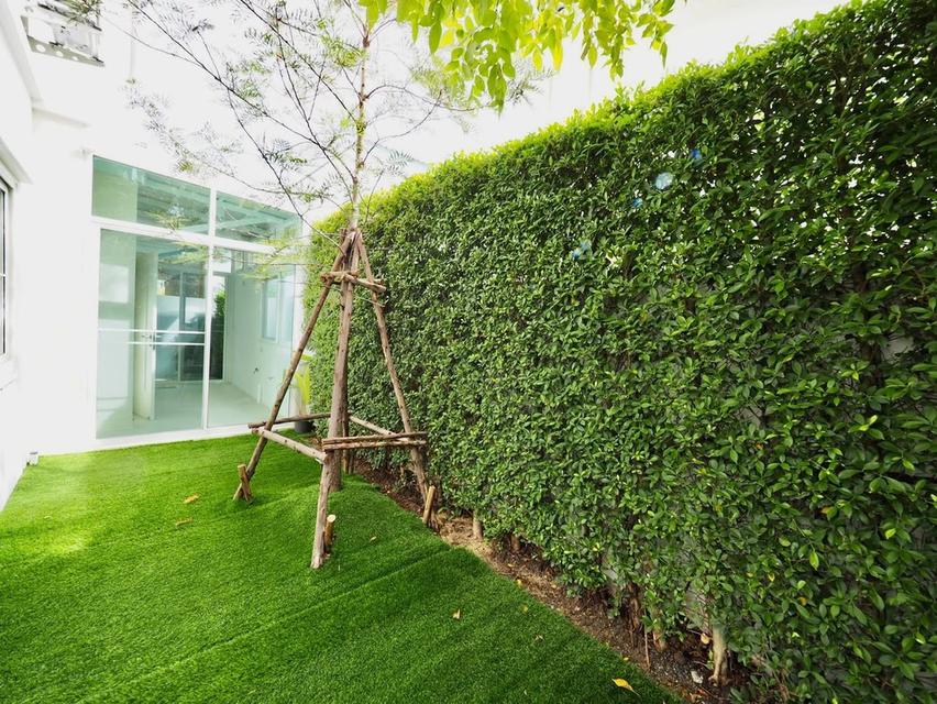 U1510 ให้เช่าบ้านเดี่ยว 2 ชั้น โครงการ Villaggio 2 ศรีนครินทร์-บางนา บ้านพร้อมเฟอร์ ทำเลดีเดินทางสะดวก เข้าออกได้หลายทาง 6