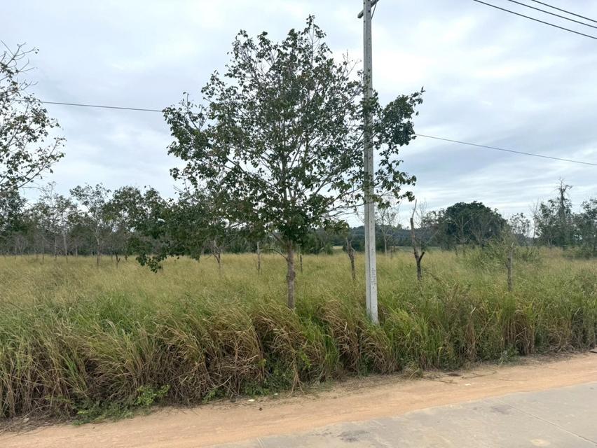 ขาย ที่ดิน ME397 แปลงใหญ่ ผัง EEC สีม่วงลาย เขาคันทรง ศรีราชา ชลบุรี ขนาด 151 ไร่ 3 งาน 49 ตรว ใกล้ ท่าเรือแหลมฉบัง ถนน 5