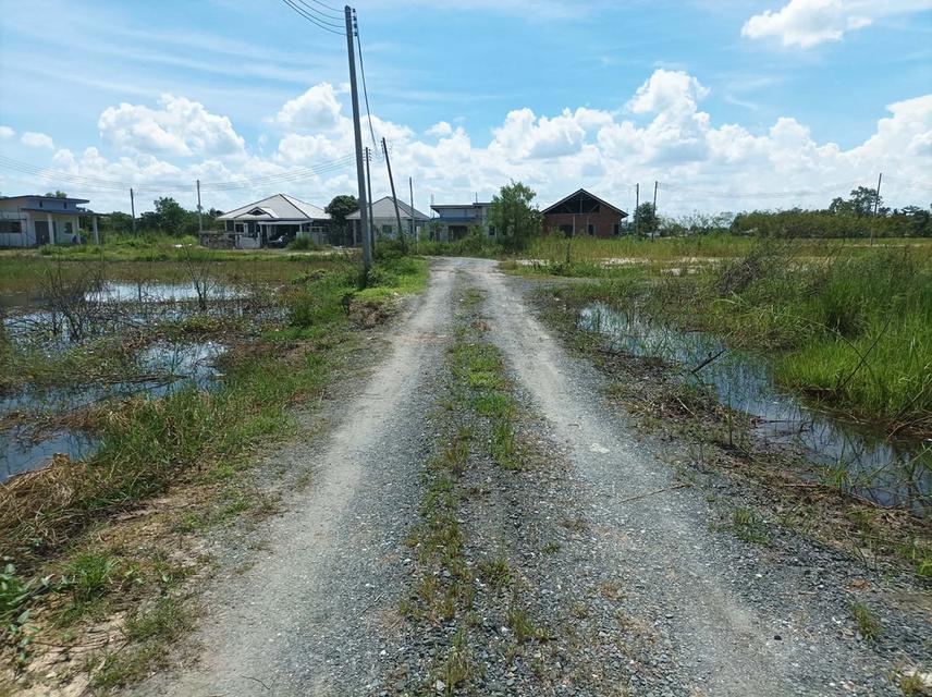 ขายที่ดิน 60 ตร.ว. ต.ตลาดขวัญ อ.ดอยสะเก็ด จ.เชียงใหม่ 2