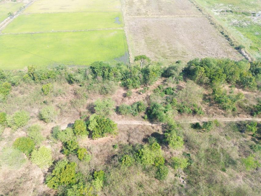 ขาย ที่ดิน ติดเทศบาล ติดเทศบาลโคกพุทรา 2 ไร่ อ่างทอง 4