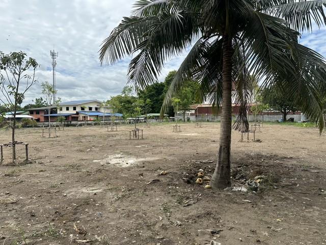 ขายที่ดิน 1-2-75 ไร่ ย่านคู้บอน รามอินทรา กม.8 วัชรพล ใกล้ MRT คู้บอน และ MRT วัชรพล 6