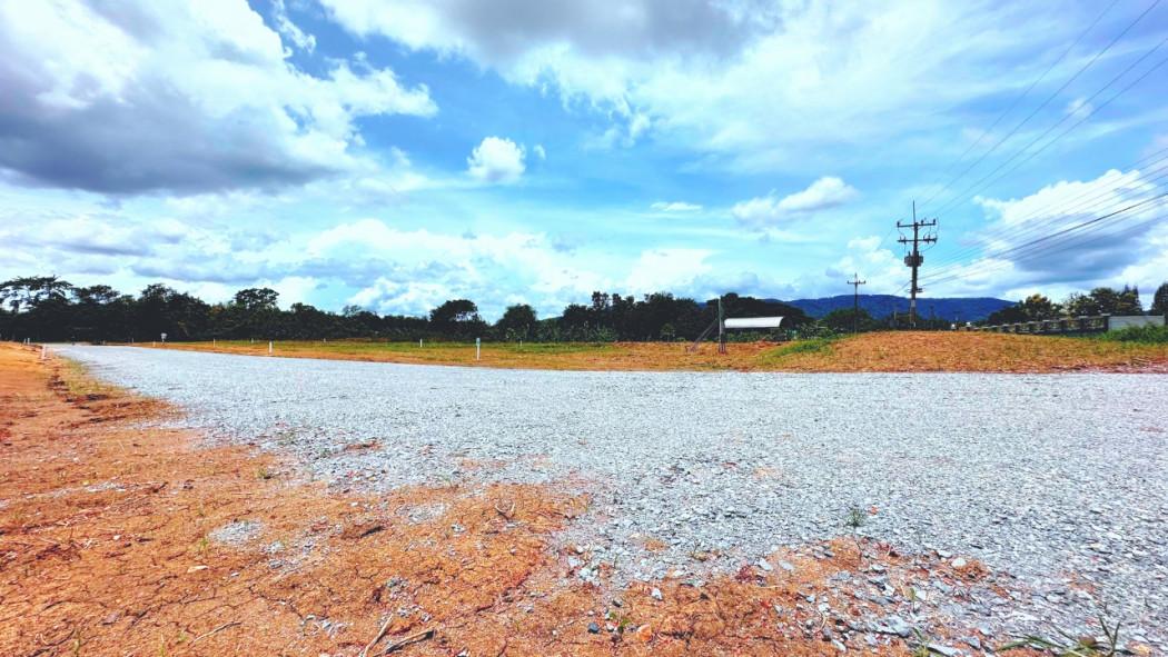 ขาย ที่ดิน หมูสี ที่ดินปากช่อง ที่ดินเขาใหญ่ 3 งาน 50 ตร.วา สูงกว่าระดับน้ำทะเล 375 ทำเลทองหล่อเขาใหญ่ 1