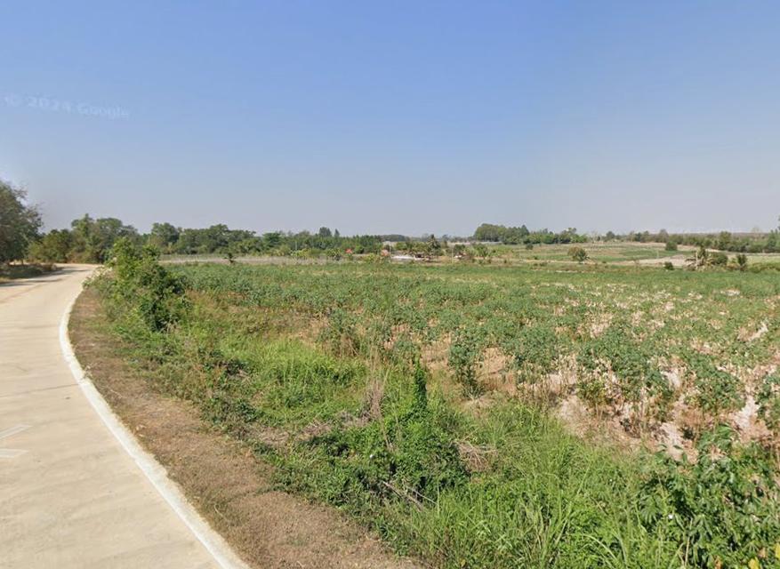 ขายที่ดินบ่อกวางทอง 81 ไร่ ติดถนน2ด้าน ใกล้ถนนเส้น3340-2กม. อ.บ่อทอง จ.ชลบุรี 2