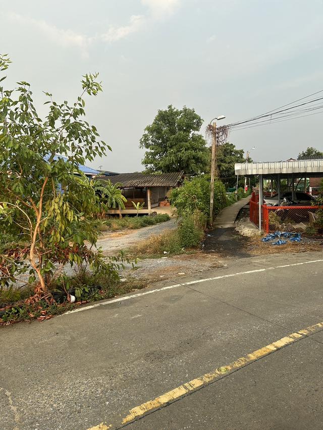 ขายร้านพร้อมบ้านพักติดริมแม่น้ำจ้าพระยาฝั่งตรงข้ามปากเกร็ด   เหมาะสำหรับทำ ร้านอาหาร คาเฟ่ บาร์ โฮมสเตย์ โรงแรมขนาดเล็ก ติมริมแม่น้ำมีท่าเทียบเรือ  11