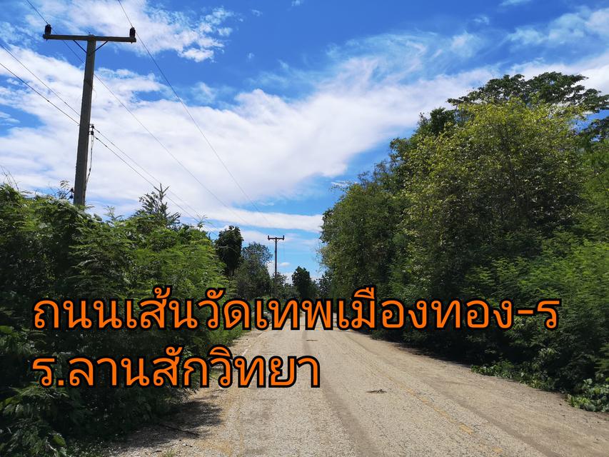 รูป ขายที่ดิน 12-1-6 ไร่ อ.ลานสัก ​จ. อุทัยธานี​ 5