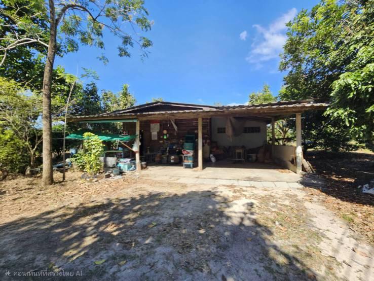 ขายสวนผลไม้ อำเภอขลุง  จันทบุรี พร้อมให้ผลผลิต 9