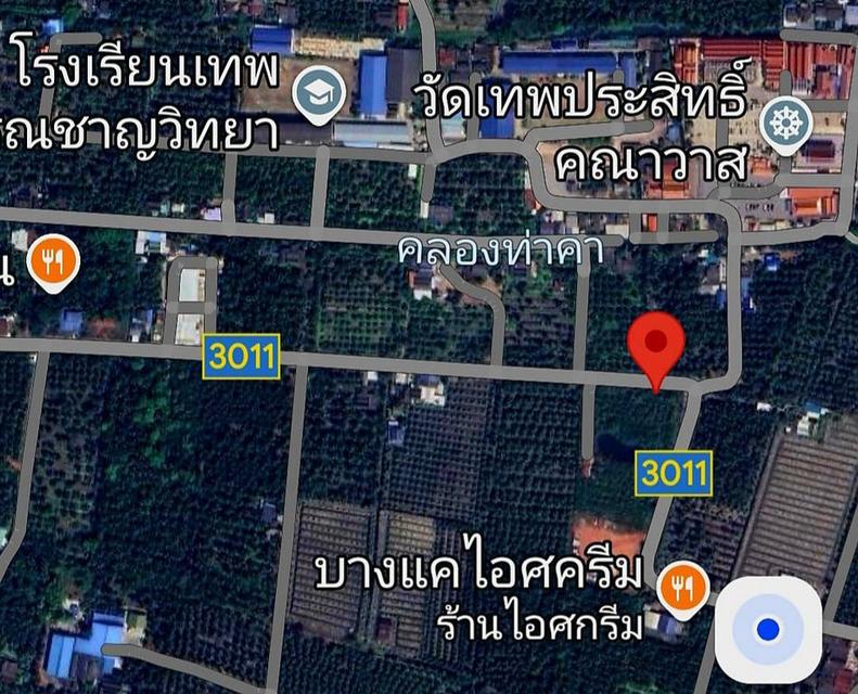 ขายที่ดินสมุทรสงคราม ติดถนนหน้ากว้างทางไปตลาดน้ำท่าคา ถูกที่สุดในโซนนี้ ฟรีโอน คุยง่าย จบไว เจ้าของใจดี 12