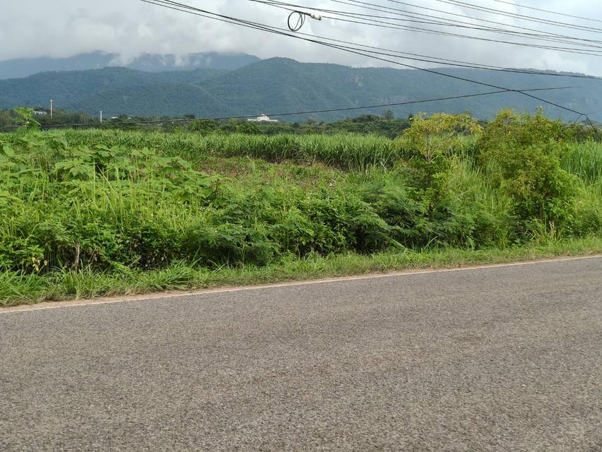 ขายที่ดินโป่งตาลอง 5ไร่ ที่สูงเทควิวเขาใหญ่สวย หายาก ติดถนนใหญ่หนองขี้ตุ่น ใกล้ทอสคานา Toscana 3052 แปลงนี้สวยมาก อากาศดี ทางไปโซนพระตำหนัก0879074045 6