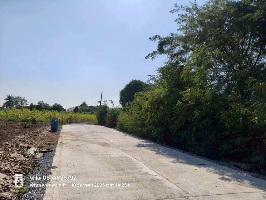 ขายที่ดินลาดหลุมแก้ว 100 ตรว ติดถนนคอนกรีตสาธารณะ ถมแล้ว ถ.ปทุมธานี-บางเลน(346) จ.ปทุมธานี 2