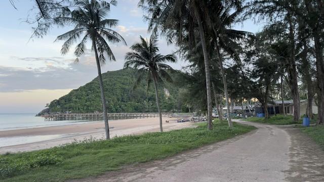 ขายที่ดินใกล้หาดบางเบิด หน้าแปลงที่ดินติดถนนทางหลวง ใกล้หาดบางเบิด 1 กม. +ขนาดที่ดิน 50-1-18 ไร่ โฉนดครุฑแดง พร้อมโอน ไร