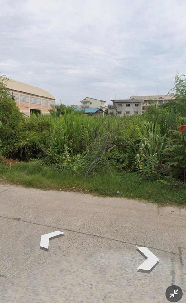 ขายที่ดินสวย พร้อมโอน เมืองสมุทรสาคร เนื้อที่ 173 ตรว. น้ำไฟผ่าน ถนนคอนกรีต โทร 0807856572 2