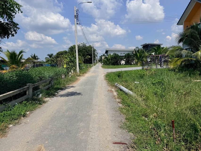 ขายด่วนที่ดิน 100 ตรว ติดถนนลาดยางสาธารณะ ซ.ประทุม บางบัวทอง นนทบุรี 11