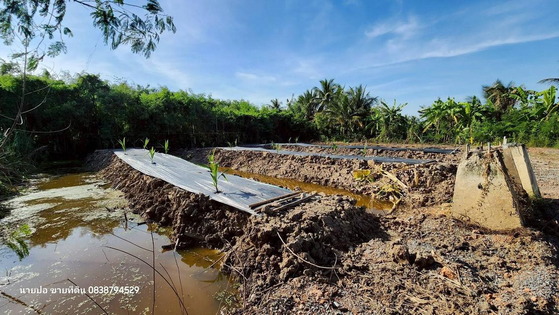 ขายที่ดิน 150 ตรว ติดถนนสาธารณะ บางบัวทอง นนทบุรี 6