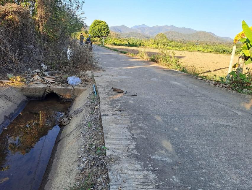 ที่ดินสวนน้ำไฟพร้อมแบ่งจ่ายได้ 8