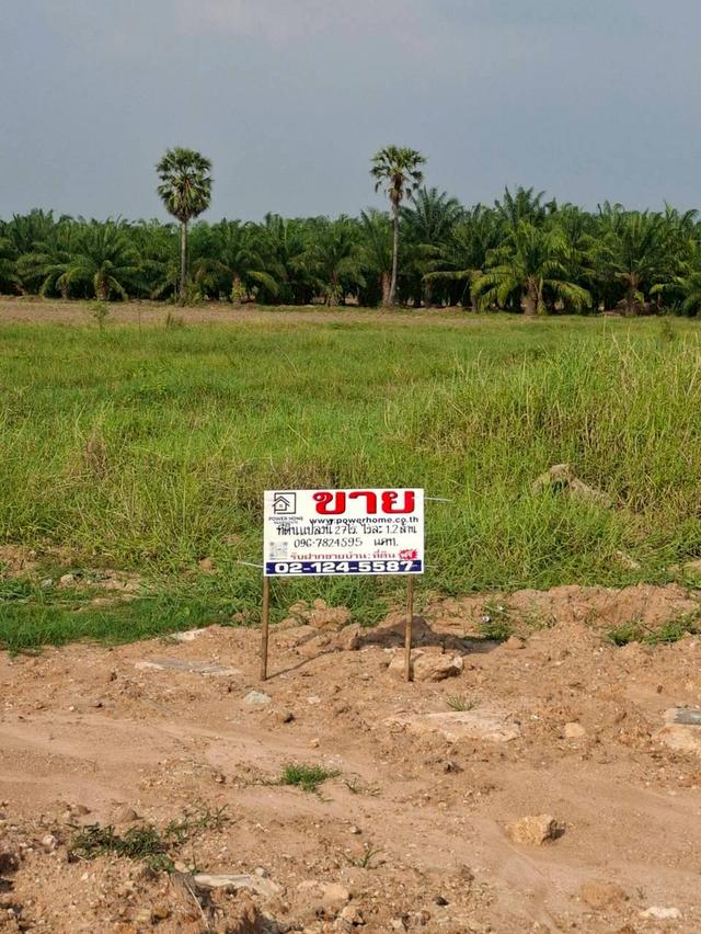 ที่ดินเปล่า ซอยร่วมใจ 2 ถนนเกาะจันทร์ ตำบลท่าบุญมี อำเภอเกาะจันทร์ จังหวัดชลบุรี 1