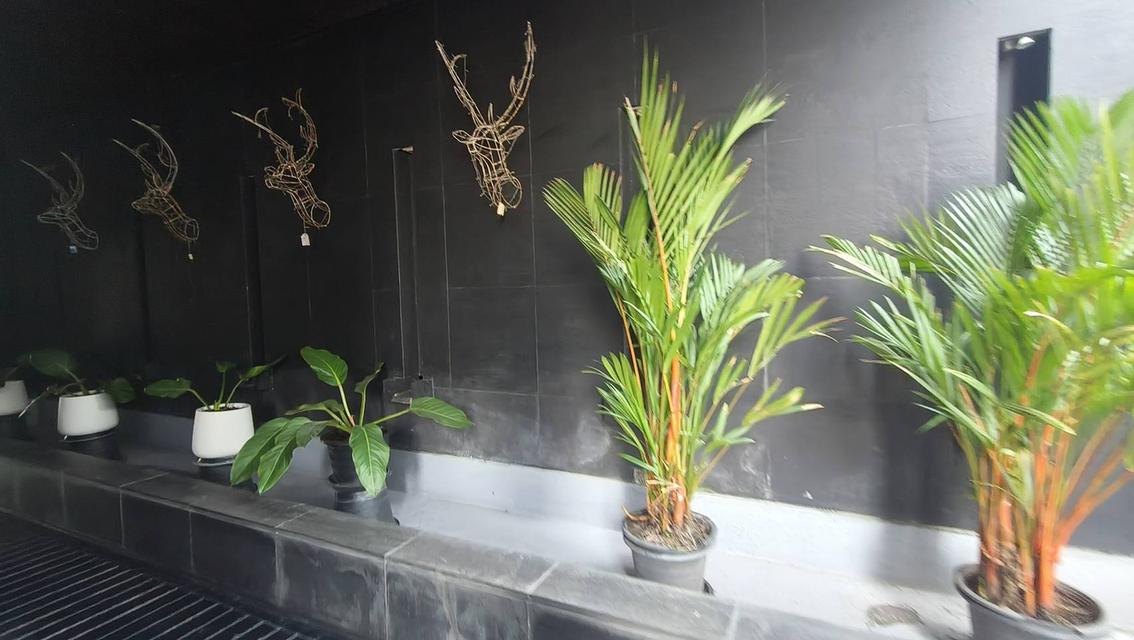 คอนโด noble remix ติด BTS ทองหล่อ มีทางเชื่อมต่อจากคอนโดไป BTS 5