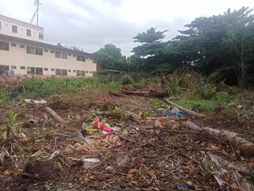 ให้เช่าที่ดินทำเลทอง ใกล้ MRT ภาษีเจริญ และซีคอนบางแค ถือเป็นทำเลศักยภาพ เหมาะทำธุรกิจ 4