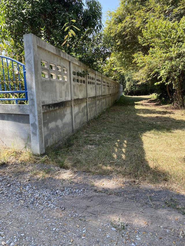 ขายที่ดินเปล่า ในเมืองมหาสารคาม ใกล้แหล่งเศรษฐกิจของเมือง ตลาด ธนาคาร โรงเรียนอนุบาล โรงเรียนมัธยม วิทยาลัยเทคนิค วิทยาลัยอาชีวศึกษา ศาลหลักเมือง ฯลฯ 2