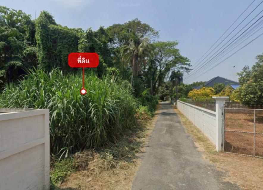 ขายที่ดิน 1-2-65 ไร่ ใกล้ รร.นายร้อยตำรวจสามพราน และวัดสามพราน (พุทโธภาวนา) 2