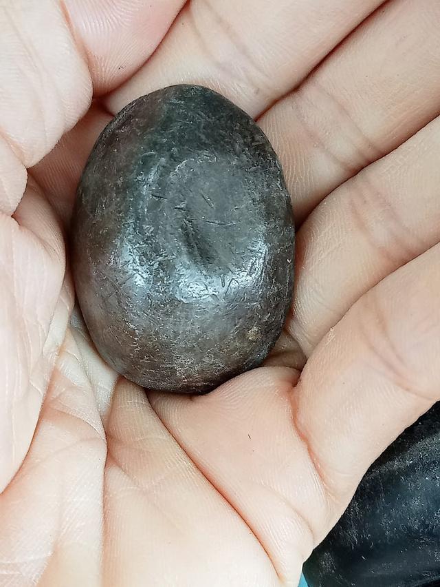 เบี้ยแก้หลวงปู่บุญ วัดกลางบางแก้ว 2