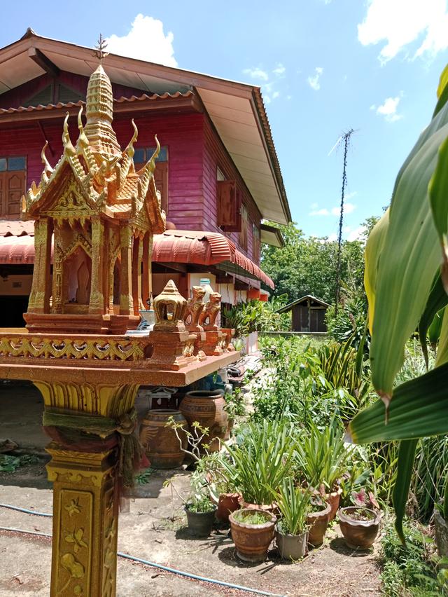 บ้านริมน้ำพร้อมกระชังเลี้ยงปลาและสวน 1