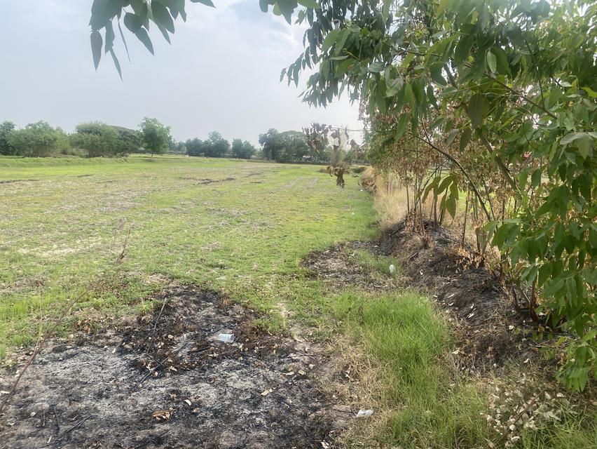 ที่ดินปล่าว6ไร่ขาย3,600,000 4