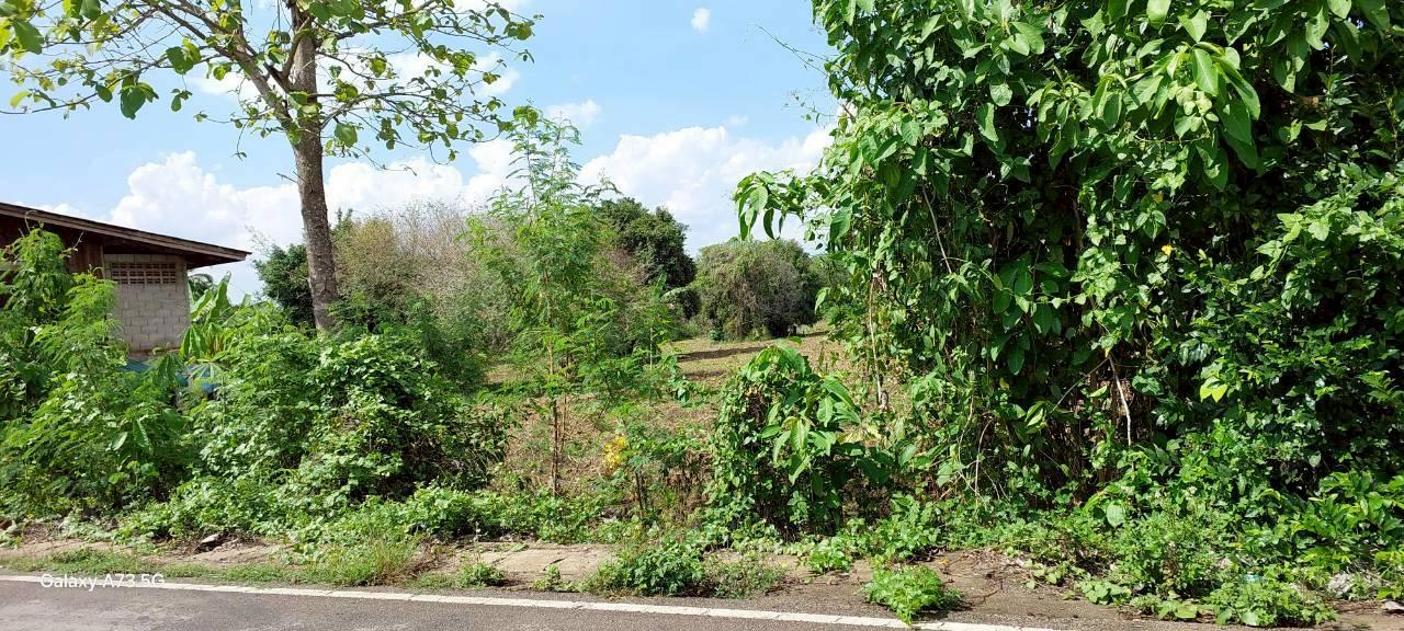 ขายที่ดินเปล่าในจ.ลำพูน ด้านหน้าติดถนนใหญ่ ติดแม่น้ำ พื้นที่สวย ทำเลดี อยู่ในเขตชุมชน ปลอดภัย ห่างจากสถานที่ราชการไม่เกิน 700 เมตร 10