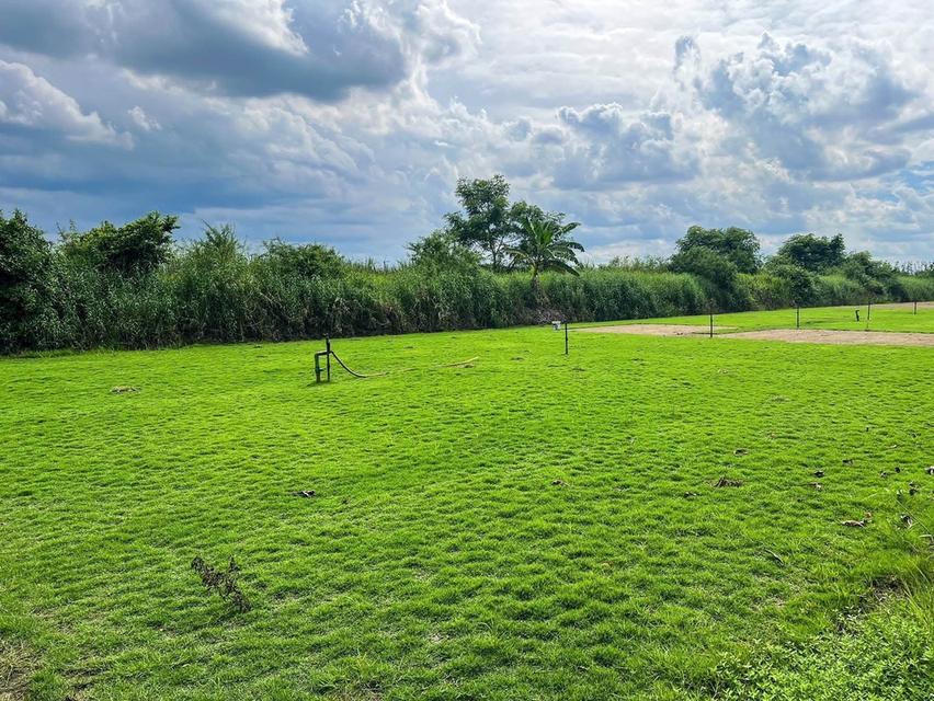 ขายที่ดินทำเลดี รังสิต–นครนายก ขนาด 100 ตร.ว เพียง 350,000 บาท (ราคาถูกที่สุดในโซน!) 7