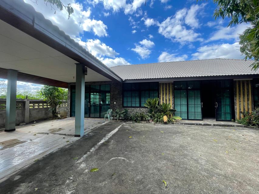 บ้าน 2 หลังติด ในจัตุรัส จังหวัด ชัยภูมิ 1