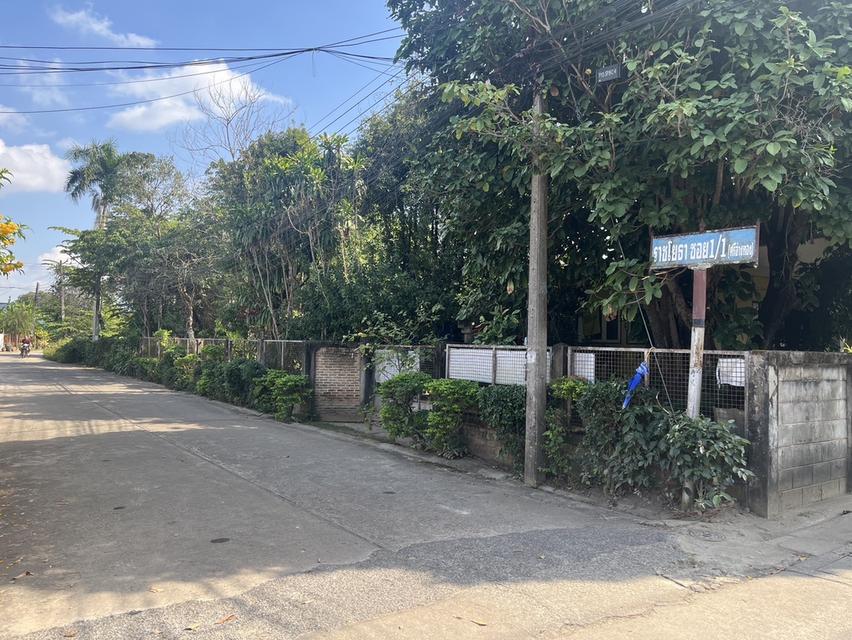 ที่ดิน จังหวัดเชียงราย 4