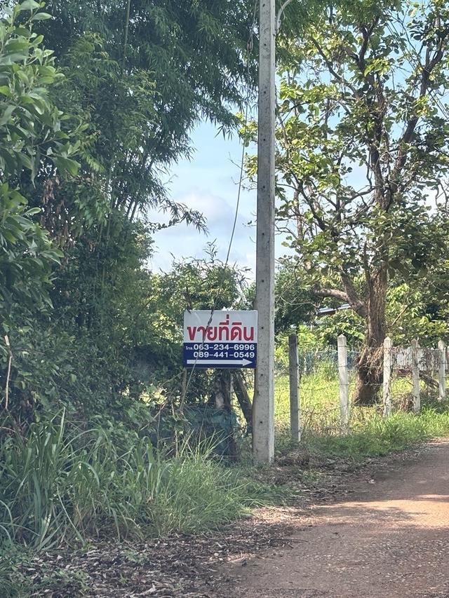 ขายที่ดินใกล้เทศบาลเมืองหนองสำโรง 1