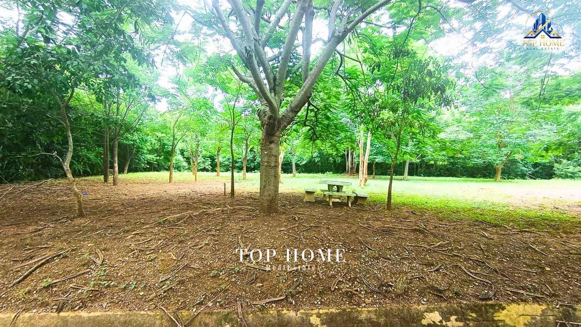 ขายด่วน! ที่ดินแปลงมุม วิวภูเขา | มวกเหล็กวัลเลย์ สระบุรี 🔥 🌿 แปลงสวย ถมแล้ว บรรยากาศดี เป็นส่วนตัว — พร้อมสร้างบ้านพักตากอากาศในฝัน 8