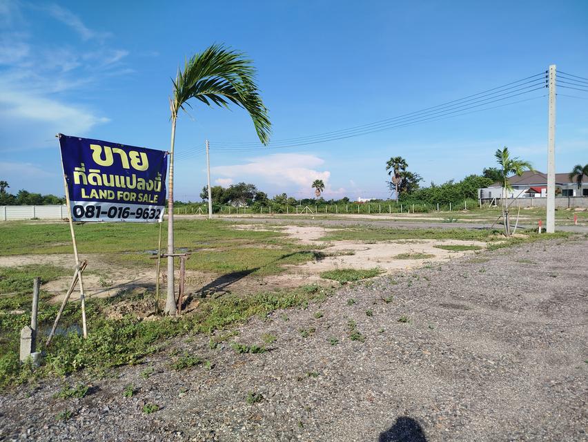 ที่ดินชะอำ 5