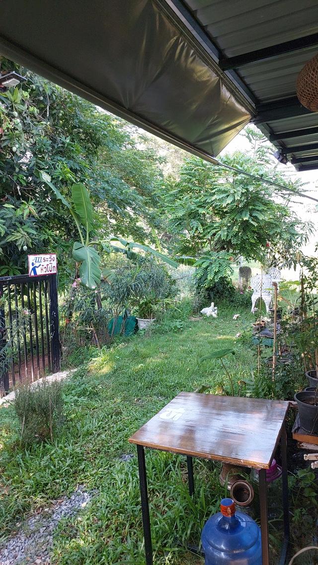 บ้านสวนพร้อมที่ดิน181ตรว. 6