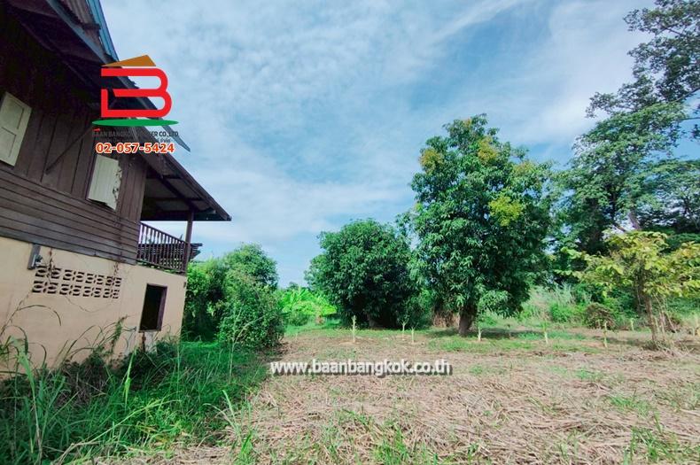 ที่ดินเปล่า เนื้อที่ 1-1-0 ไร่ ใกล้วัดกำแพงแก้ว ถ.สาย อย.4016 ต.มหาพราหมณ์ อ.บางบาล จ.อยุธยา 3