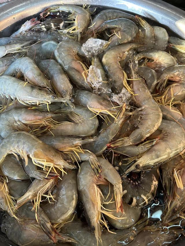 กุ้งแชบ๊วย ตัวใหญ่สดใหม่ 2