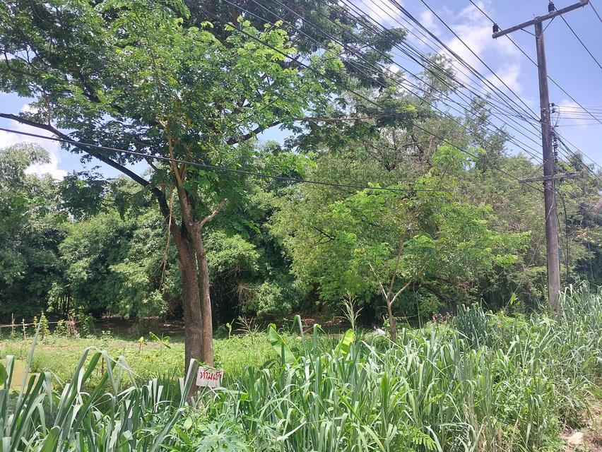 ที่ดิน 3