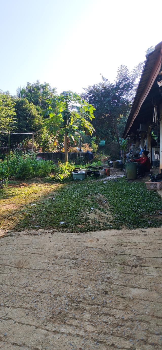 บ้านพร้อมที่ดินใกล้ตัวเมืองเชียงราย ใกล้วัดห้วยปลากั้ง 16