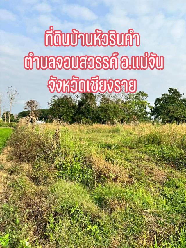 ที่ดิน 3 ไร่อำเภอแม่จันจังหวัดเชียงราย 3