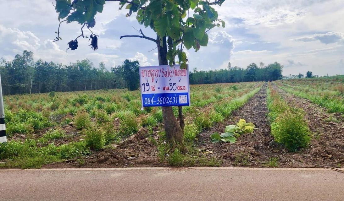 ขายถูก ที่ดิน ศรีมหาโพธิ ปราจีนบุรี  4