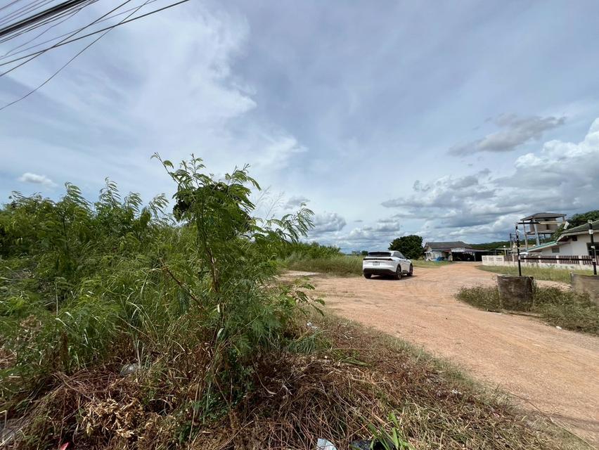 ขายที่ดินปลวกแดง - ติดถนนใหญ่ ( ถนน 4 เลน ) ระยอง 6