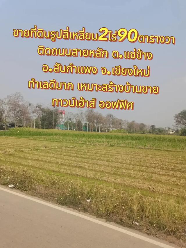 ขายที่ดินแปลงสวยรูปสี่เหลี่ยม2ไร่90ตารางวา ติดถนนสาย1147 ทำเลดีมากๆ ต.แช่ช้าง อ.สันกำแพง จ.เชียงใหม่ 3