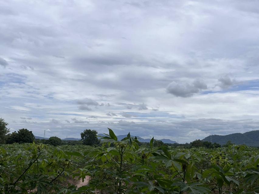 Land for sale good location  9