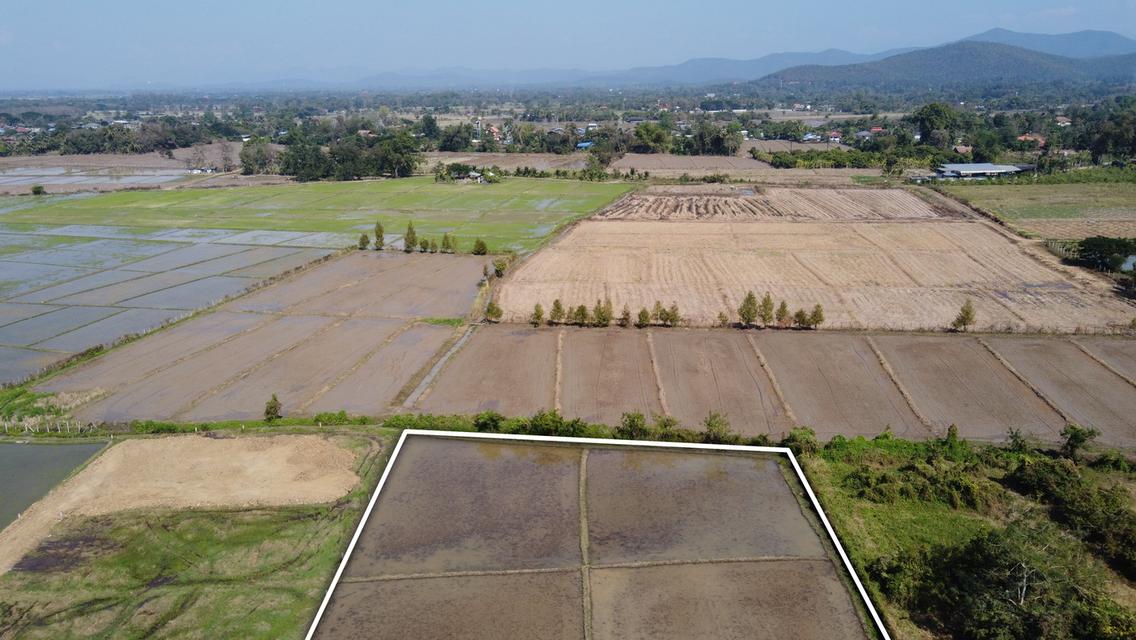 ขายที่ดิน 6-3-71 ไร่ ติดลำเหมือง 3 ด้าน น้ำ-ไฟพร้อม ใกล้กรมที่ดินสันกำแพง 800 เมตร 7