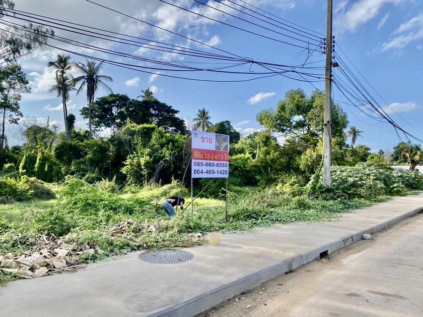 ขายราคาประเมินกรมธนารักษ์ ที่ดิน 12 ไร่ ใกล้สนามบินอุบลราชธานี  ติดอ่างเก็บน้ำห้วยวังนอง ติดถนนอุบล-ตระการ 6