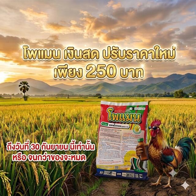 ยากำจัดเชื้อรา แมนโคเซป