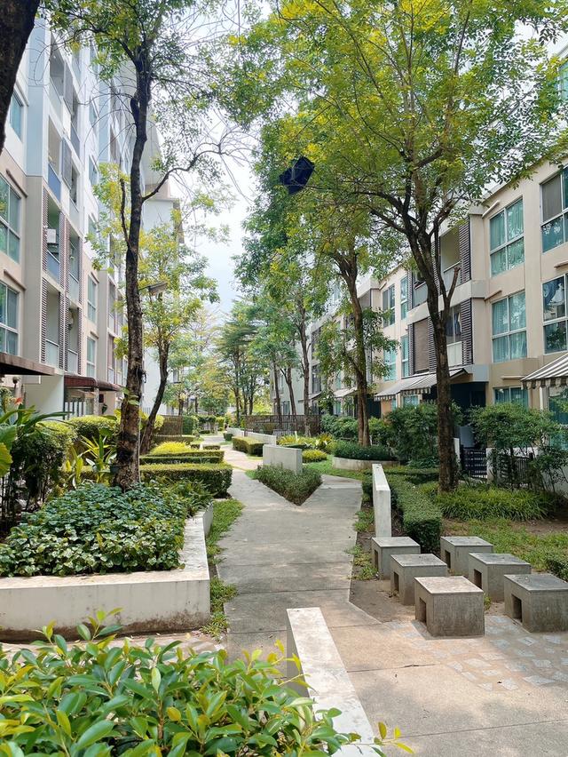 ขายถูกคอนโด  เอ สเปซ สุขุมวิท 77  A SPACE SUKHUMVIT 77 ขนาด 35 ตรม. 1 นอน 1 น้ำ  ชั้น 6 ตึก D  ห้องสวย เฟอร์ครบ ใกล้ รถไฟฟ้า BTS สถานีอ่อนนุช 18