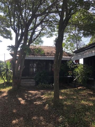 🏡 บ้านไม้ริมน้ำปิง พร้อมที่ดินผืนใหญ่ บรรยากาศธรรมชาติ 9