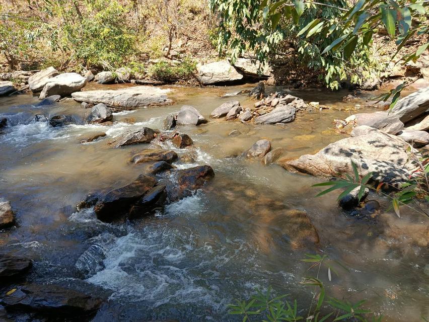 ขายที่ดินวิวธรรมชาติใกล้น้ำตกแม่ยะศักยภาพสูง ใกล้น้ำตกแม่ยะ อ.จอมทอง จ.เชียงใหม่ 7